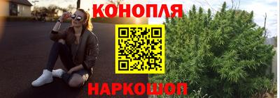 СК Новоалтайск