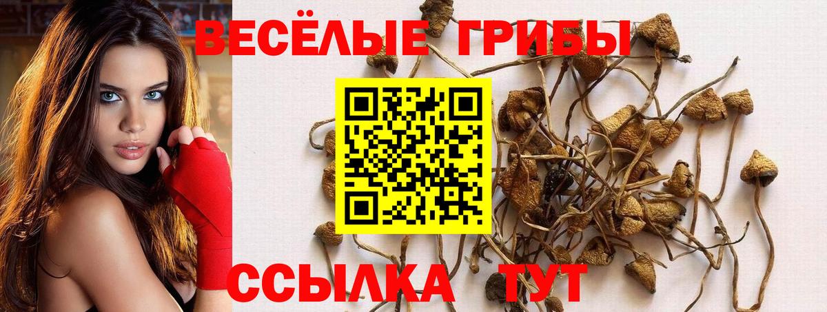 Галлюциногенные грибы мухоморы  Вход с VPN  Псилоцибиновые грибы мухоморы  Кимовск 