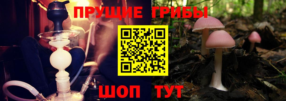 Галлюциногенные грибы Magic Shrooms Кимовск